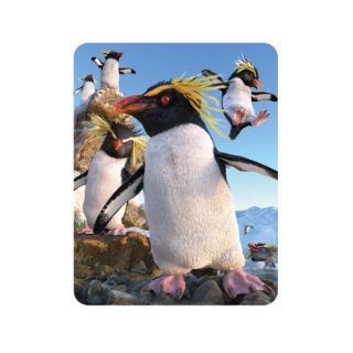 Obrázek z Magnet 3D 7x9cm - tučňák skalní (25) 